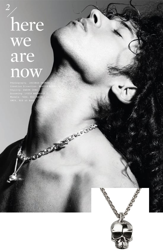 Stephen Einhorn Large Skull Necklace in Out There Magazine